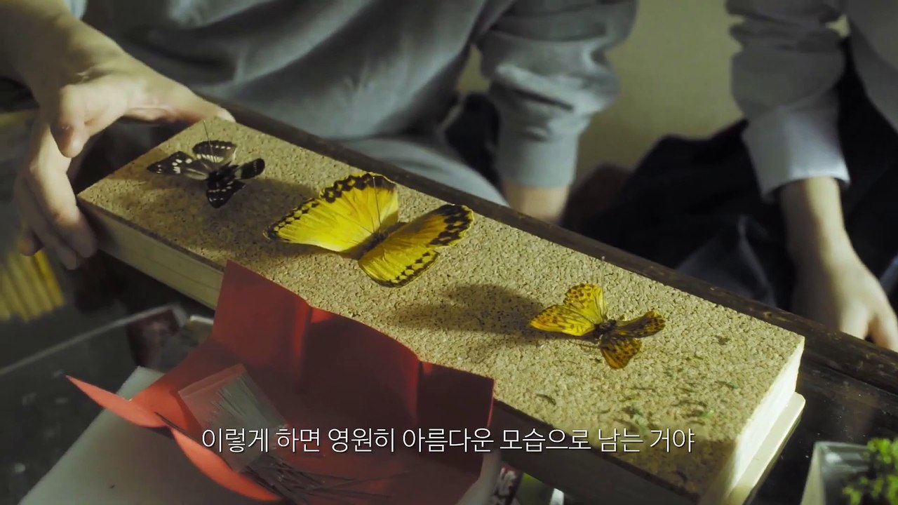 영화 [나비수집가 붉은 방]