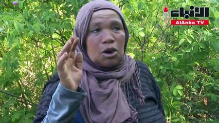 جانيات الورود يبذلن جهدا مضنيا لإنتاج مستحضرات ثمينة بالمغرب