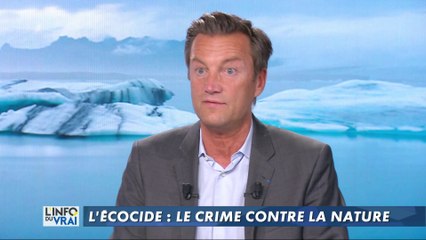 Ecocide : donner une personnalité juridique aux sites naturels ?