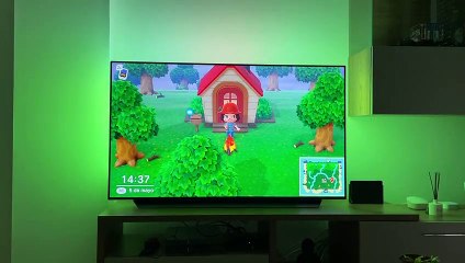 Ambilight - Animal Crossing