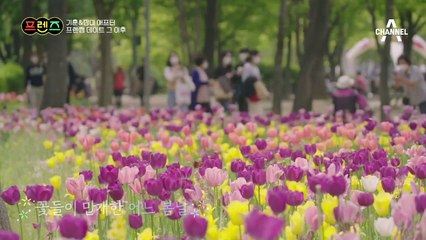 기훈&장미, 프렌썸 데이트 이후 다시 만난 선남선녀♡