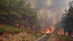 Muğla'nın Ortaca ilçesinde orman yangını çıktı