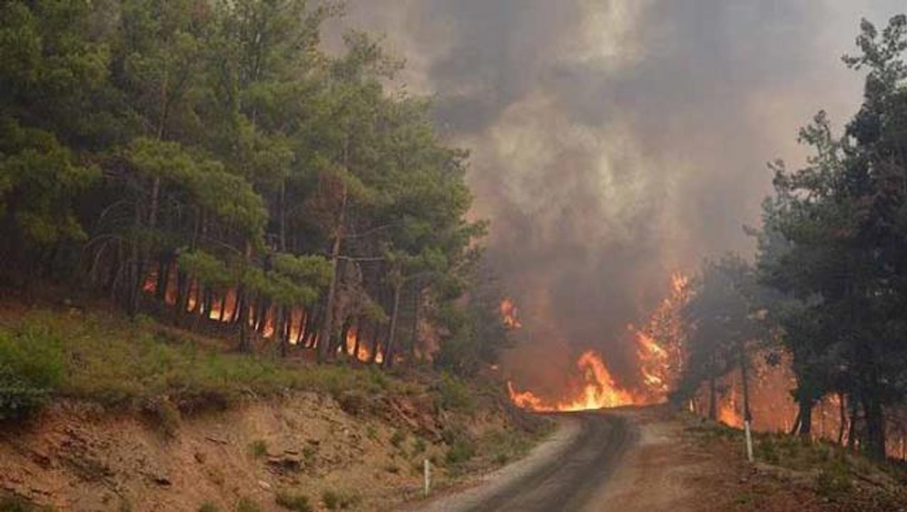Muğla'nın Ortaca ilçesinde orman yangını çıktı