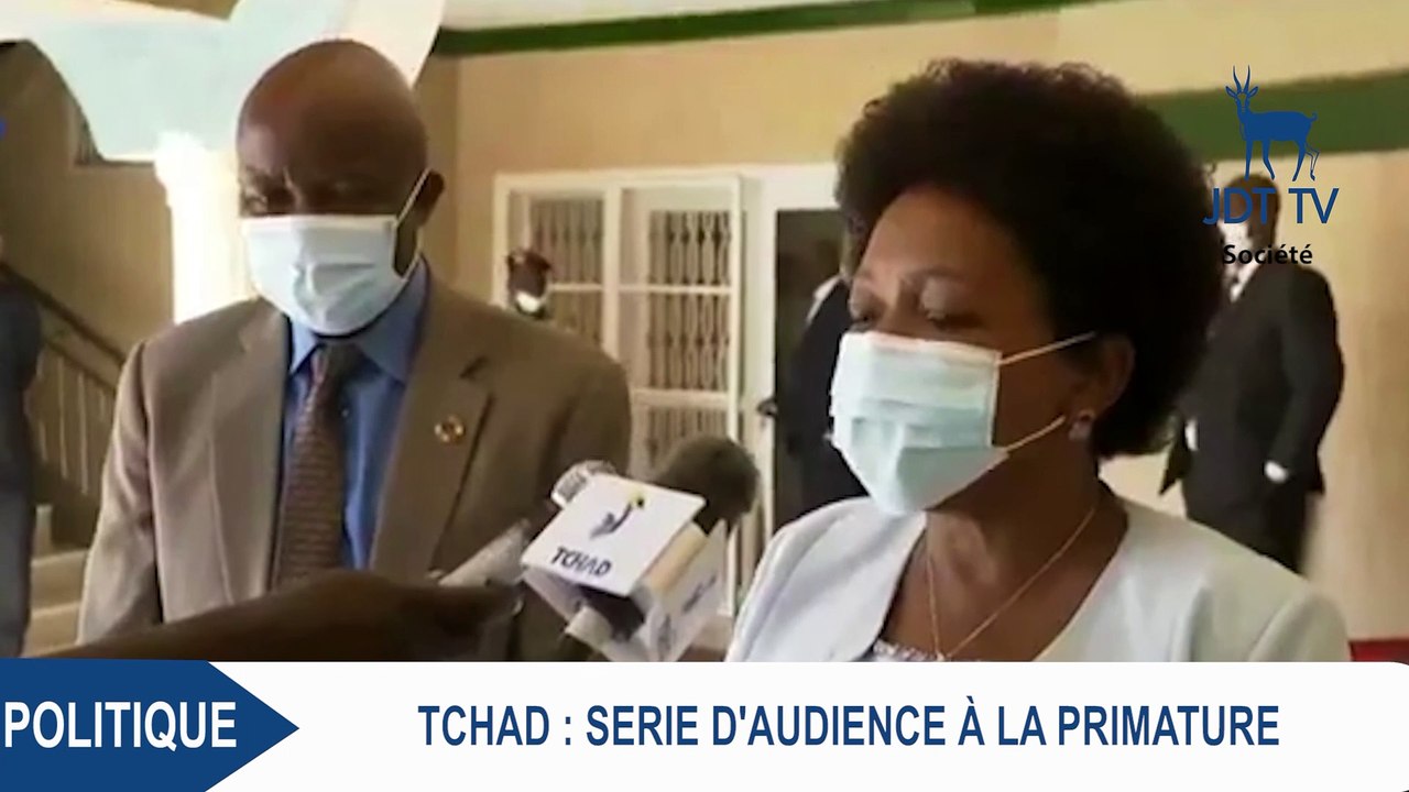 Séries d'audiences à la primature du Tchad