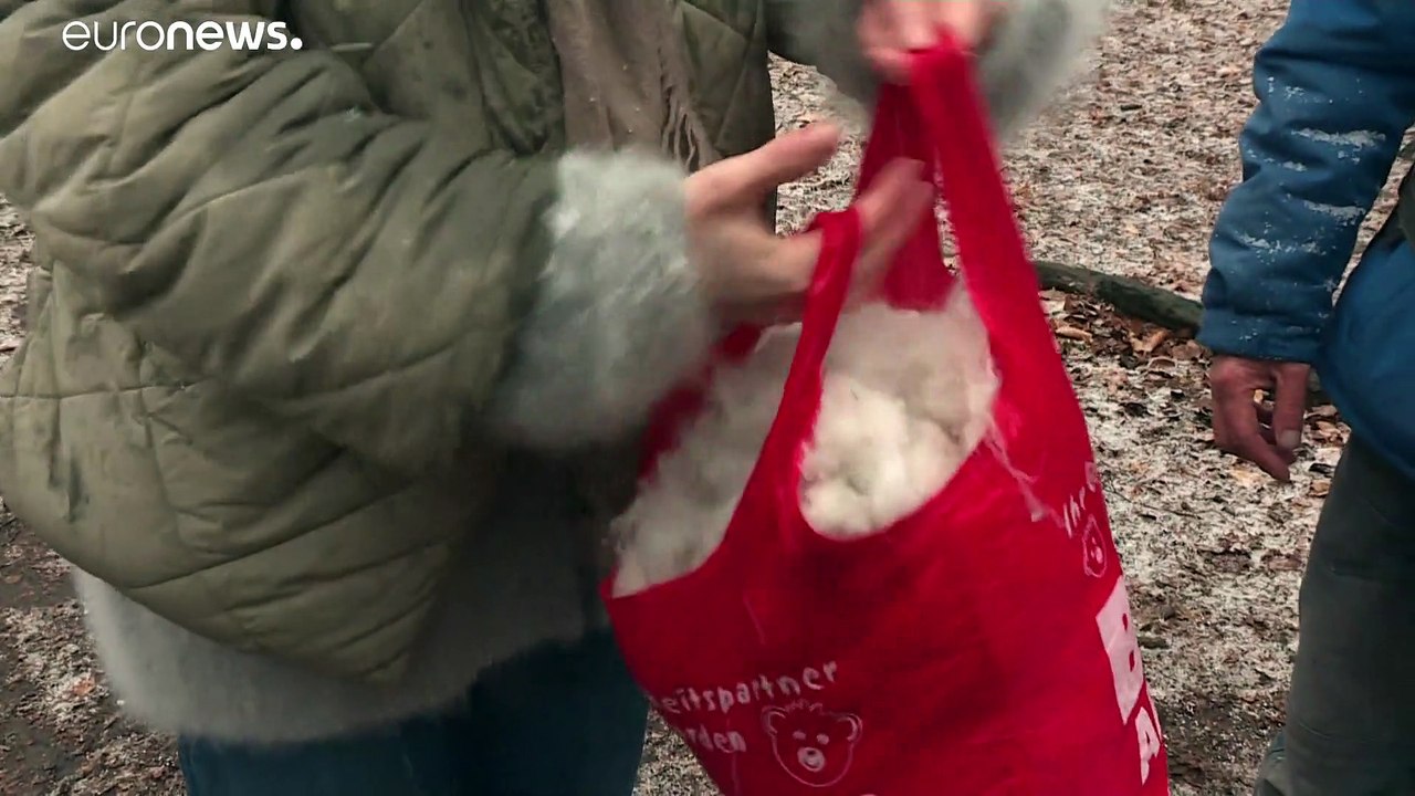 Wolle aus Hundehaaren: Besser als Cashmere - video Dailymotion