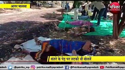 झोलाछाप का खेल खत्म : पेड़ पर लटकी थीं बोतलें, खेत में लेटा रखे थे मरीज, प्रशासन ने की कार्रवाई
