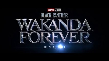Black Panther: Wakanda Forever 2022 Complet VF Streaming