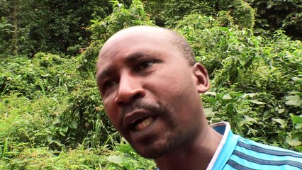 Les routes de l'impossible - Congo, le dernier train du Katanga