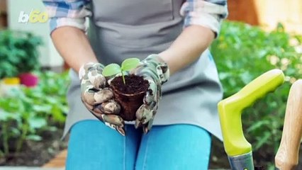 Your Used Coffee Grounds Could Help You Out in Other Ways Around the House