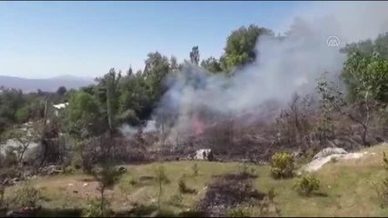 Zeytin bahçesinde çıkan yangın söndürüldü
