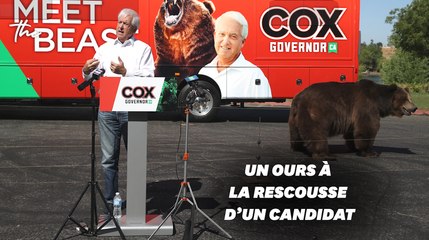 En Californie, ce candidat républicain fait campagne avec un ours