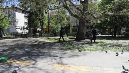 Çubuk'ta "tam kapanma" günlerinde sokak hayvanları unutulmuyor