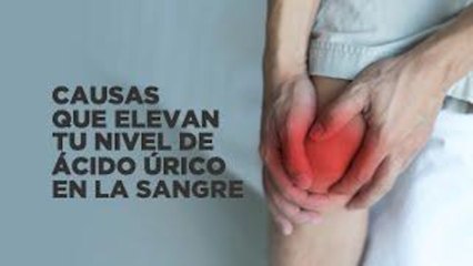 Causas que elevan tu nivel de ácido úrico en la sangre | Salud 180