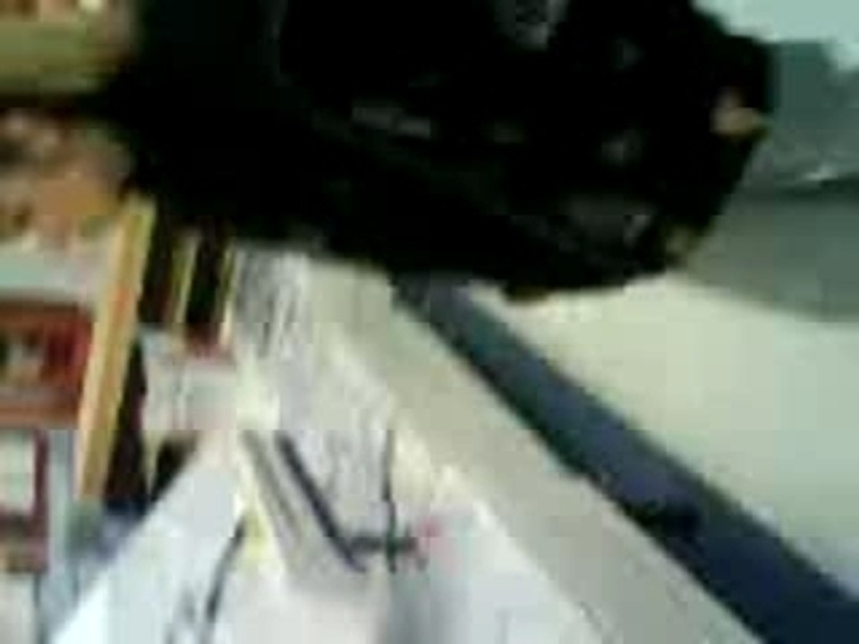 teste lit par namster
