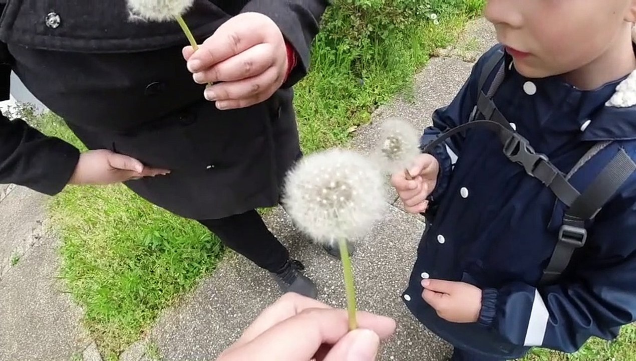 He tricked us! -i3x
