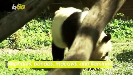 New Beginnings! Madrid Zoo Gives Tour to Retirement Home Residents on First Outing!