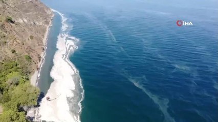 Kabus büyüyor...Marmara'yı deniz salya kapladı