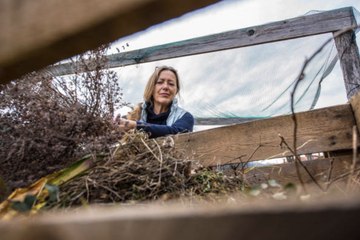 Here Are Some Simple Steps for a More Sustainable Life