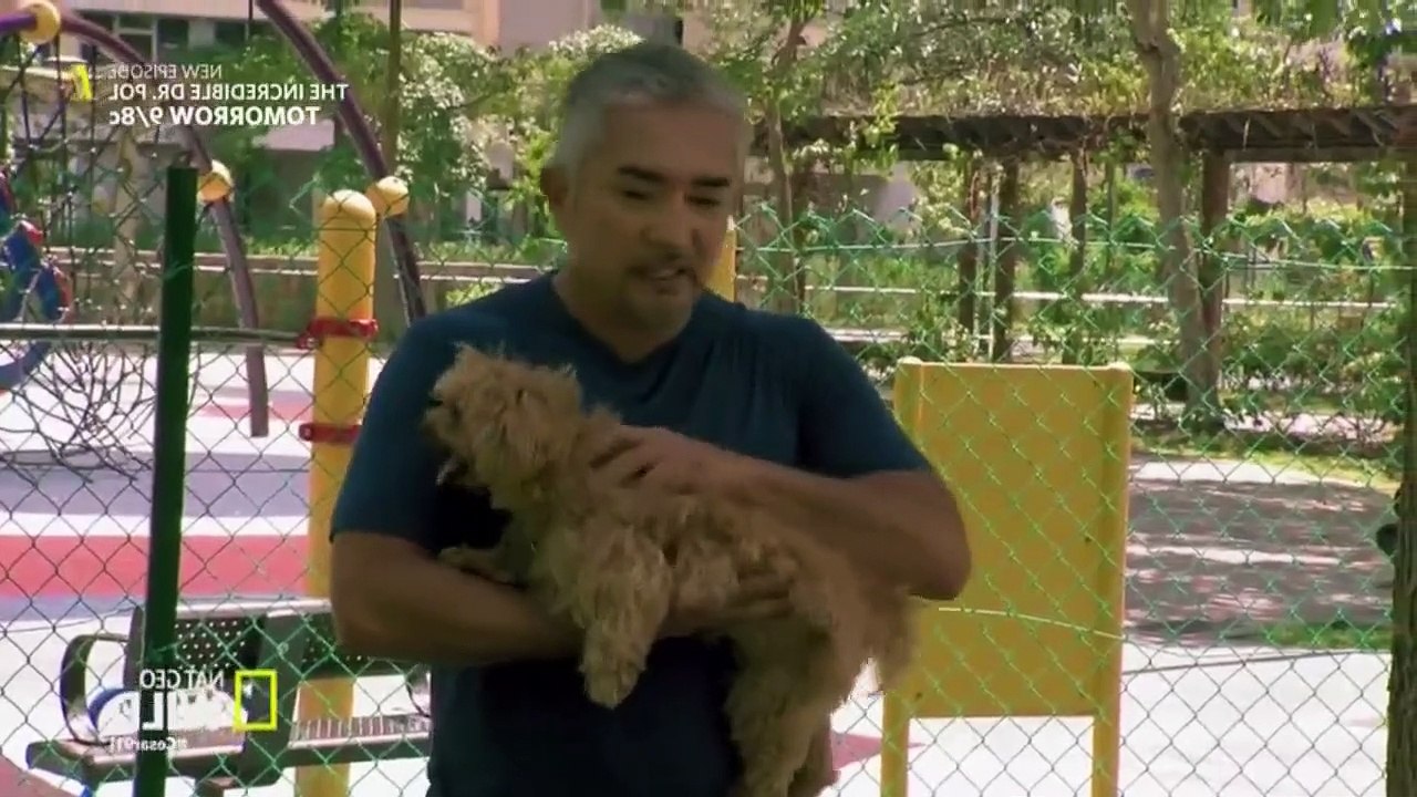 Cesar 911 S04E05