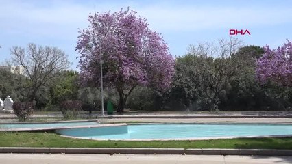 HIDIRELLEZ VE BİRBİRİNDEN İLGİNÇ İNANIŞLARI KİTABA DÖNÜŞTÜRÜLDÜ