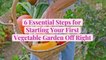 6 Essential Steps for Starting Your First Vegetable Garden Off Right