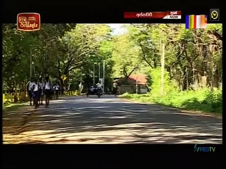 Appachchi (10) 05-05-2021