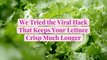 We Tried the Viral Hack That Keeps Your Lettuce Crisp Much Longer—Here's What Happened