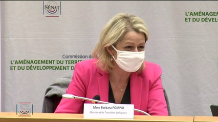 Barbara Pompili : "Je déteste le terme d'écologie punitive"