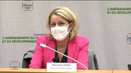 Barbara Pompili répond à Stéphane Demilly : "Je ne suis pas dans l’avion bashing."