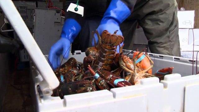 05 mai TOPO PG Homards en cadeau