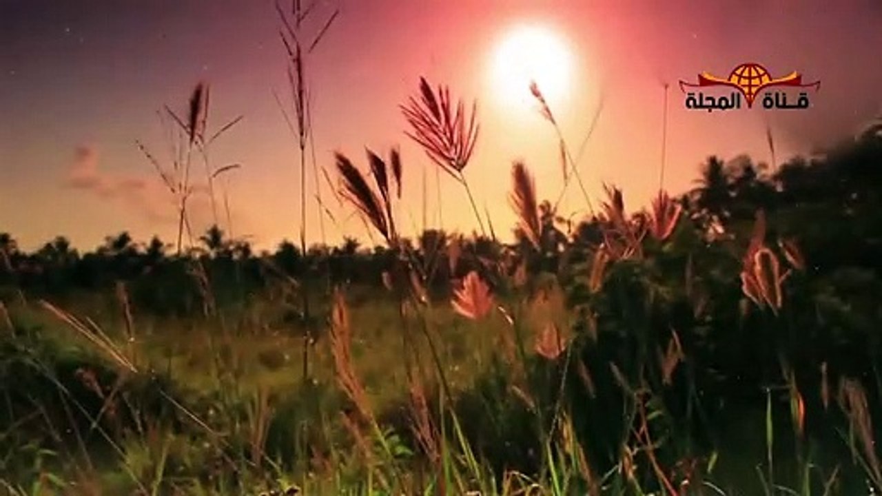 شاهد رد الشيخ الشعراوي علي شاب ملحد يشكك في ليلة القدر ويبكي متأثرًا