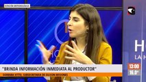 Silicon Misiones Estiman que en un año y medio estaría lista la primera etapa del edificio de la Universidad del Conocimiento