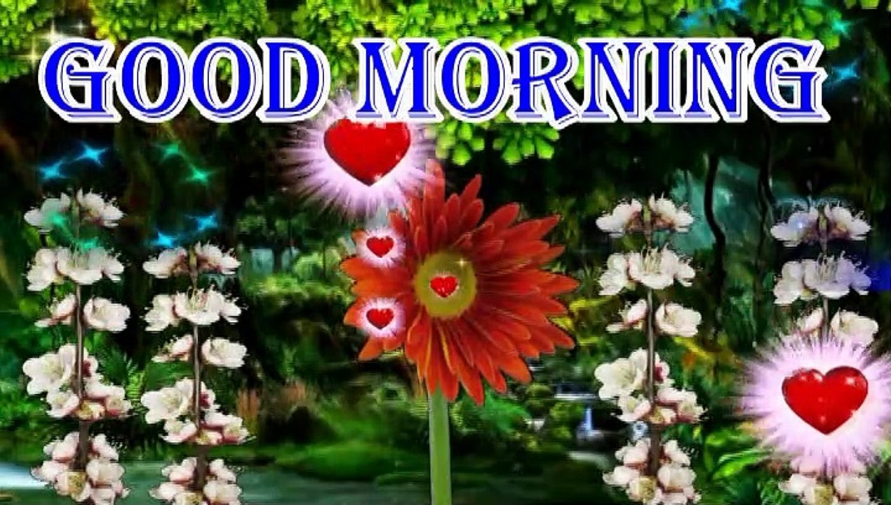 Good morning wishes for all | Good morning | lovely nature | good morning wishes | morning song | morning video | morning status | #goodmorning