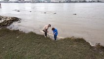 Storms and floods resurface relics from Gulf Coast