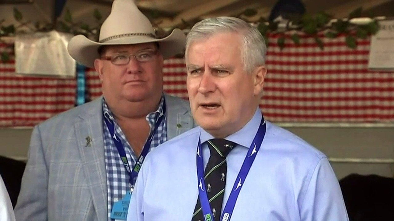 Deputy PM says govt is following travel ban medical advice