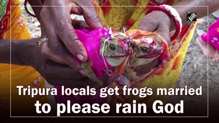 Locals get frogs married to please rain God in Tripura