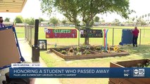 Valley school honors student who passed away with garden