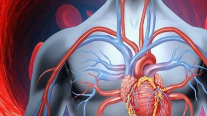Blood Purify करने में उपयोगी हैं ये Drinks, रोज पीने से Immunity भी होती है Strong । Boldsky