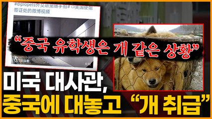 미국 대사관, 중국에 대놓고 "개 취급" "중국 유학생은 개 같은 상황"