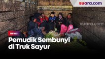 Pemudik dari Bekasi Terciduk Bersembunyi di Truk Sayur