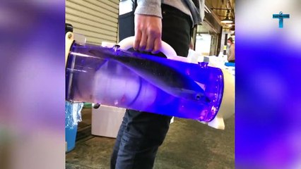 Top 25 Things You'll See for the First Time in Your Life