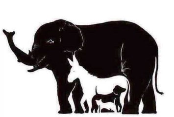 Combien y a-t-il d'animaux cachés sur ce dessin... Certains sont introuvables