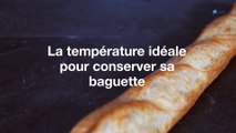 La température idéale pour conserver sa baguette