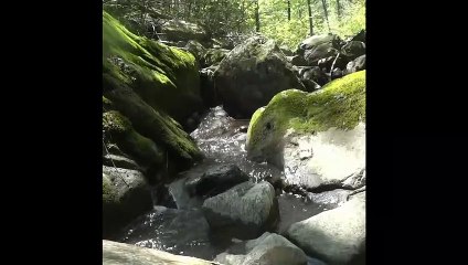 Water Fall from River Feel the Sound. | Nature