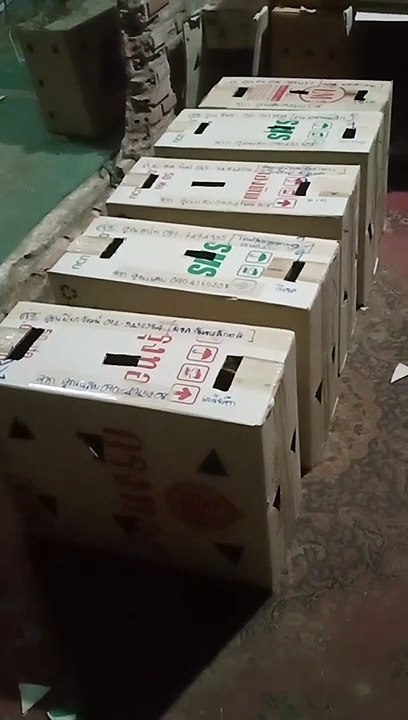 video_25640506_053757