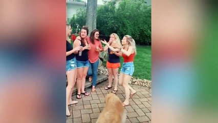 Top 15 Best Pregnancy Announcement Reactions | I'M Pregnant!