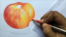 Tomatoes Drawing In Color Pencils | Vegetable Drawing | How To Draw Tomato