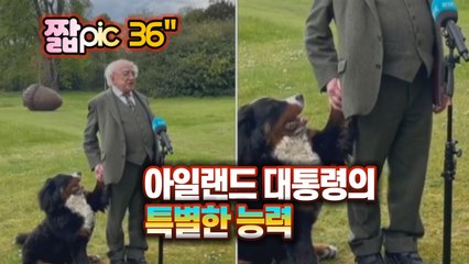 [#짧pic] 팔순의 아일랜드 대통령 인터뷰를 훼방 놓은 씬스틸러 / YTN