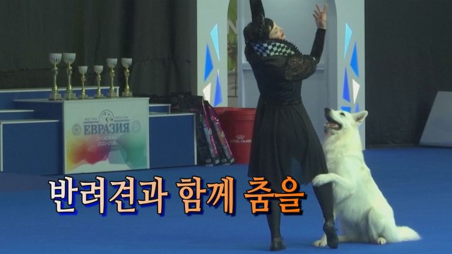 [세상만사] 반려견과 함께하는 커플 댄스 대회 / YTN