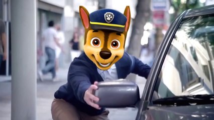 Paw Patrol Baby Dance - Coffin Dance Meme - Astronomia Song